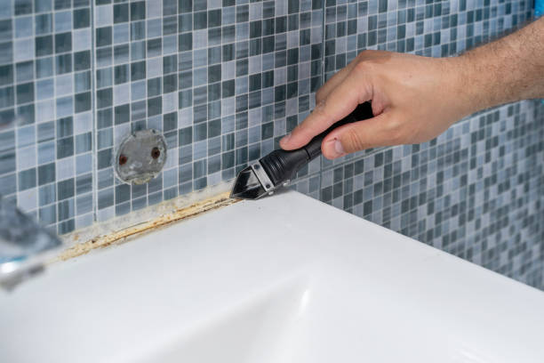 Best Insurance-Related Mold Remediation in Manhattan, MT